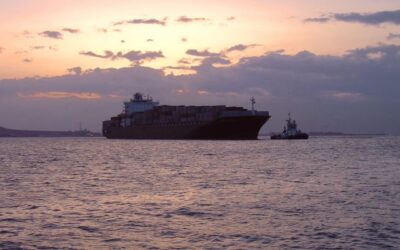 DNV: Alternative fuels orderbook shows resilience
