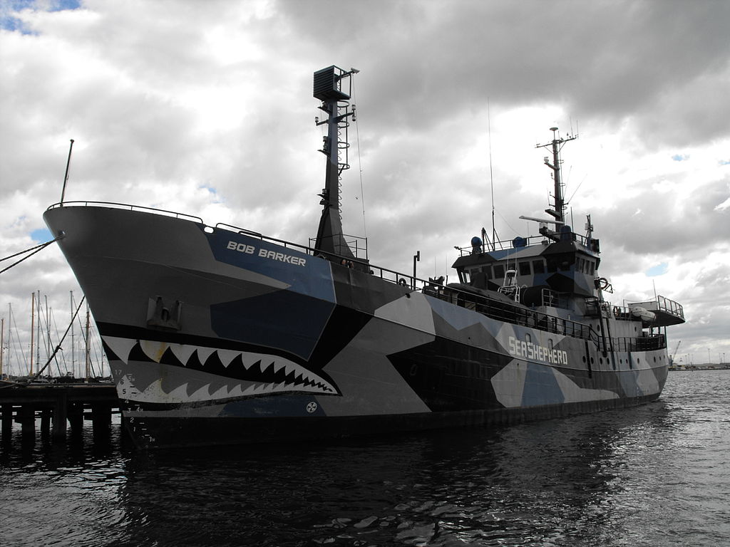 Sea Shepherd deters piracy attack in the Gulf of Guinea