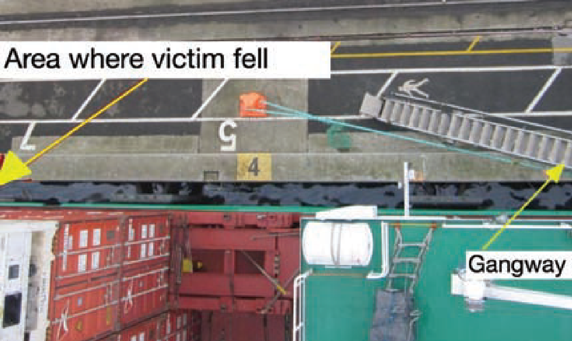 Ignoring the gangway proves fatal for vessel visitor