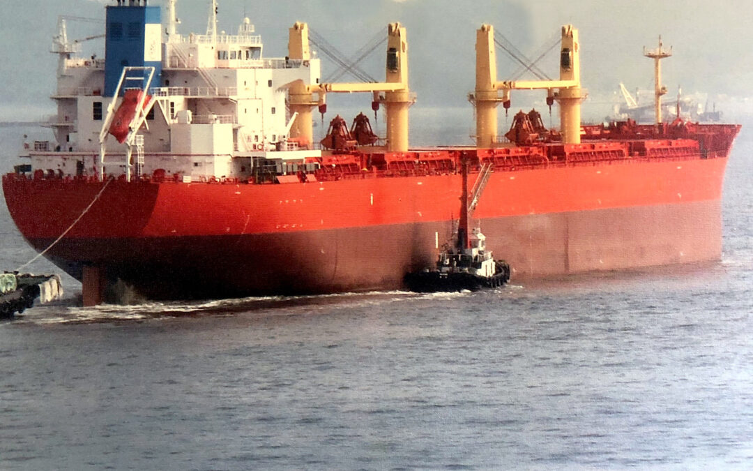 Report on bulk carrier Zealand Rotterdam fatality: Carry out basic agreements even under time pressure