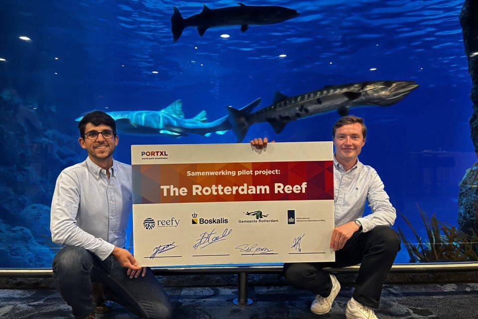 Start-up Reefy to build artificial reef system in Rotterdam