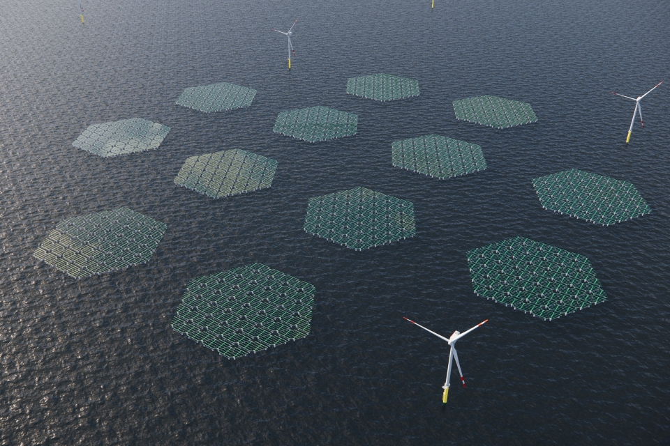 RWE and SolarDuck to accelerate development of offshore floating solar