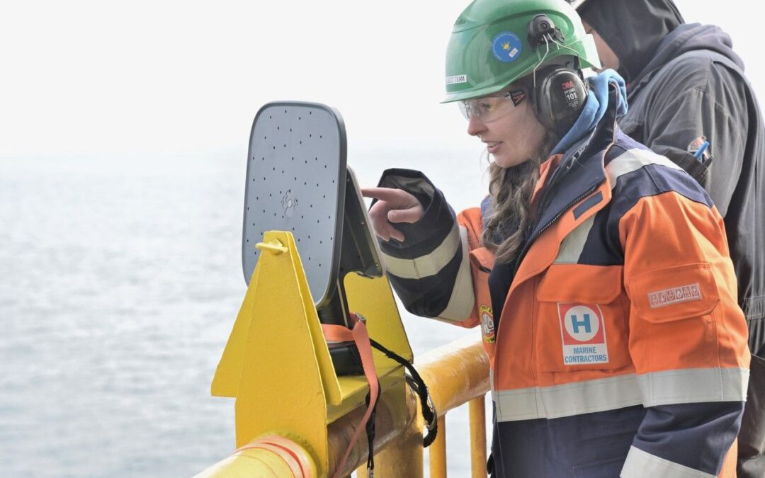 Heerema measures sound levels during offshore installation