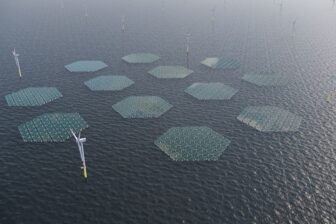 SolarDuck floating offshore solar platforms in between wind turbines