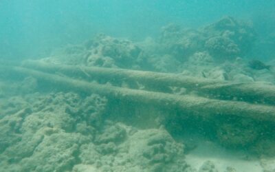 Two subsea cables damaged in Baltic Sea