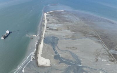 Jan De Nul and partners create first mangrove island
