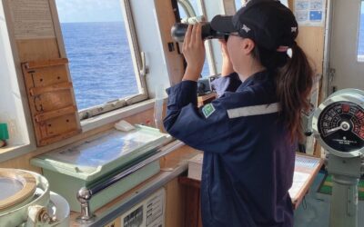 ‘Seafarer training needs overhaul for decarbonisation’