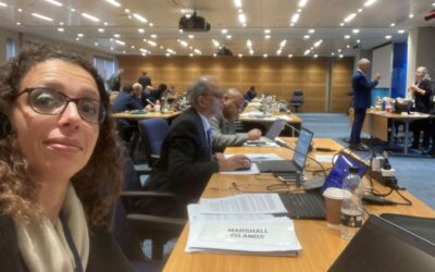‘Over 30% of installed BWTSs fail PSC inspections’