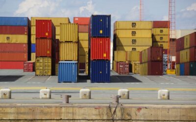 Experts explore pest-resistant container design