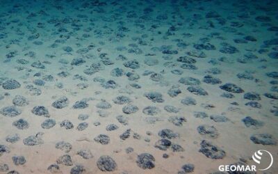 EUR 1.4 million to study impact of deepsea mining