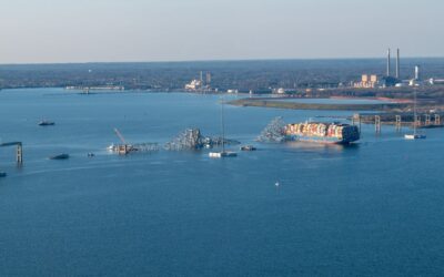 Pilotage risk management: To a precautionary approach