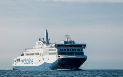 Wasaline, Wärtsilä team on record battery system