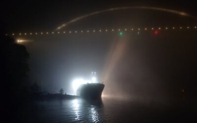 Ship that grounded near Swedish bridge refloated