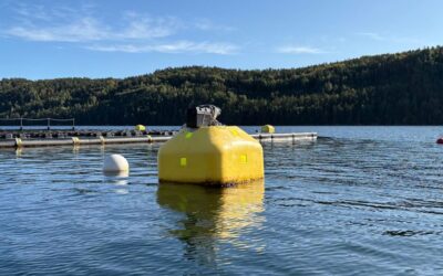 How Tension Buoy can unlock floating solar and hydro power