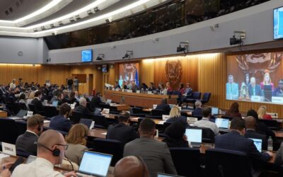 IMO calls for safe-passage framework in Strait of Hormuz