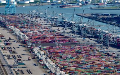 New study: Containers crucial for Dutch economy