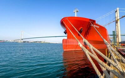 IMO approval clears path for ammonia-fuelled ships