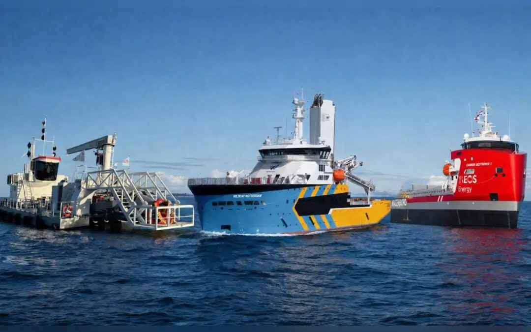 Nominees of Ship of the Year 2026