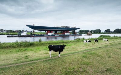 SWZ|Maritime’s October 2026 issue: Of cows and ketches